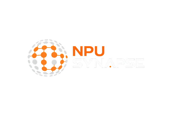 NPU Synapse